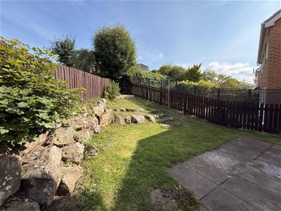 Picture 13